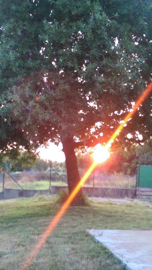PUY Holiday House Romi מראה חיצוני תמונה